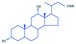 去氧胆酸  