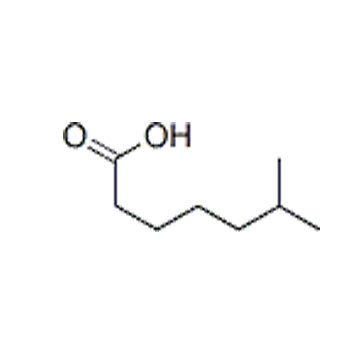 6-甲基庚酸