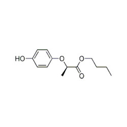 R-(+)-2-(4-羟基苯氧基)丙酸丁酯