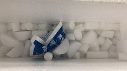 样品国际物流干冰运输