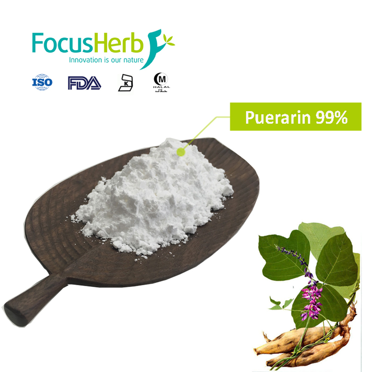 FocusHerb Kudzu Root Extract Puerarin 30%,60%,80%,98%