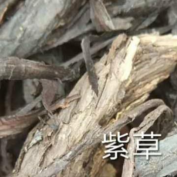 紫草提取物