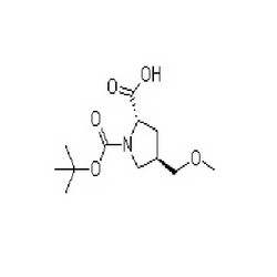 3-[(3-amino-4-methylamino-benzoyl)-pyridin -2-yl-amino]-propionic acid ethyl ester