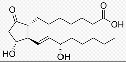 alprostadil