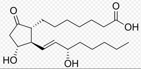alprostadil