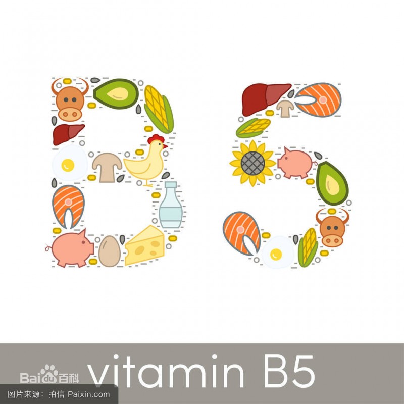 維生素B5 泛酸鈣