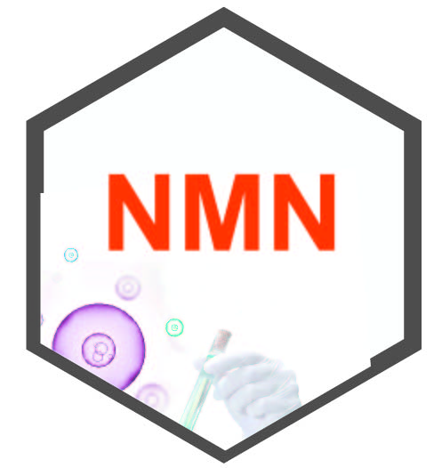 NMN —煙酰胺單核苷酸