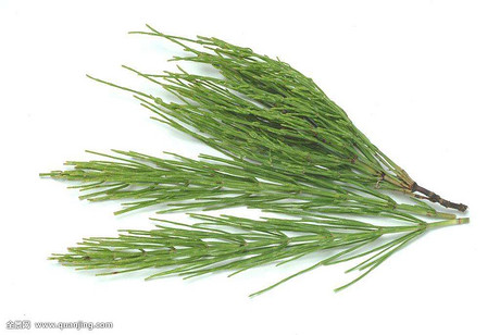 问荆提取物