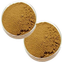 白屈菜提取物15:1 Greater Celandine Extract Powder