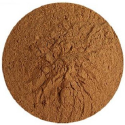 当归提取物 4:1 Dong Quai Extract Powder