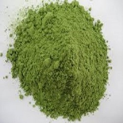 菠菜提取物 20:1 Spinach Extract Powder
