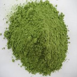 菠菜提取物 20:1 Spinach Extract Powder