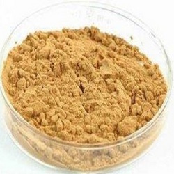 南瓜子提取物 30:1 Pumpkin Seed Extract Powder