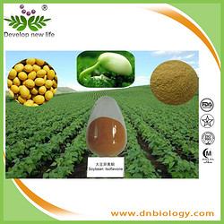 大豆提取物Soybean extract