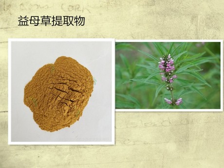 益母草提取物