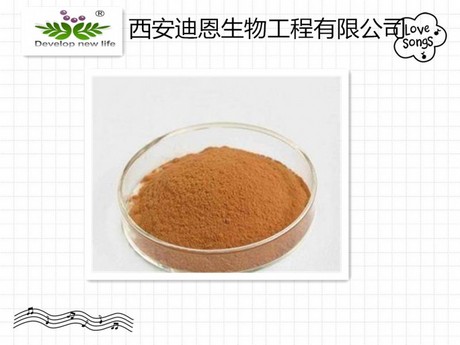 --金银花提取物