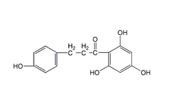 根皮素