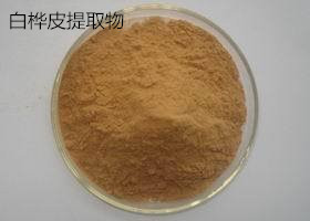 白柳皮提取物 粉末