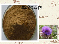 洋薊提取物