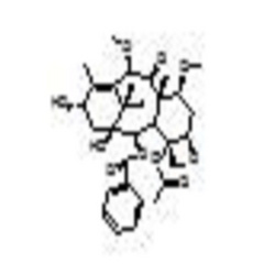 多西紫杉醇7β,10β-二甲氧基-脱乙酰巴卡亭