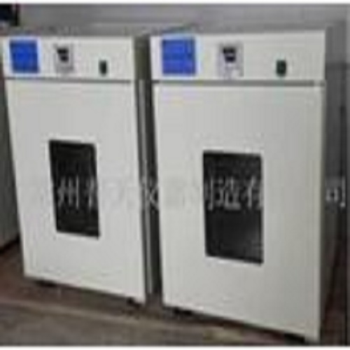 电热恒温干燥箱 DHG-9202