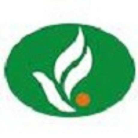 香兰素