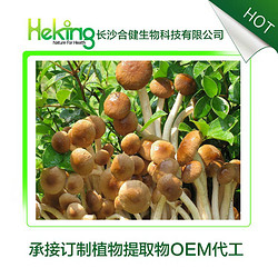 茶树菇提取物
