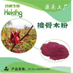 接骨木提取物