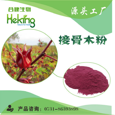 接骨木提取物