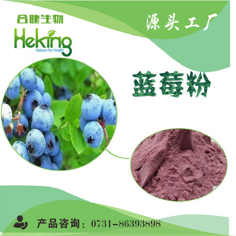 蓝莓提取物
