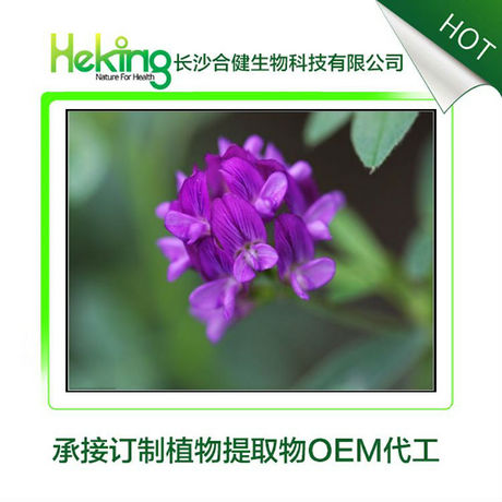 紫花苜蓿提取物
