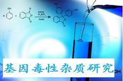 基因**杂质方法学开发与验证