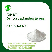 DHEA hormones 7-keto Dehydroepiandrosterone CAS: 53-43-0 in stock