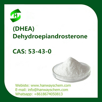 DHEA hormones 7-keto Dehydroepiandrosterone CAS: 53-43-0 in stock