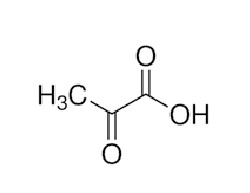  丙酮酸