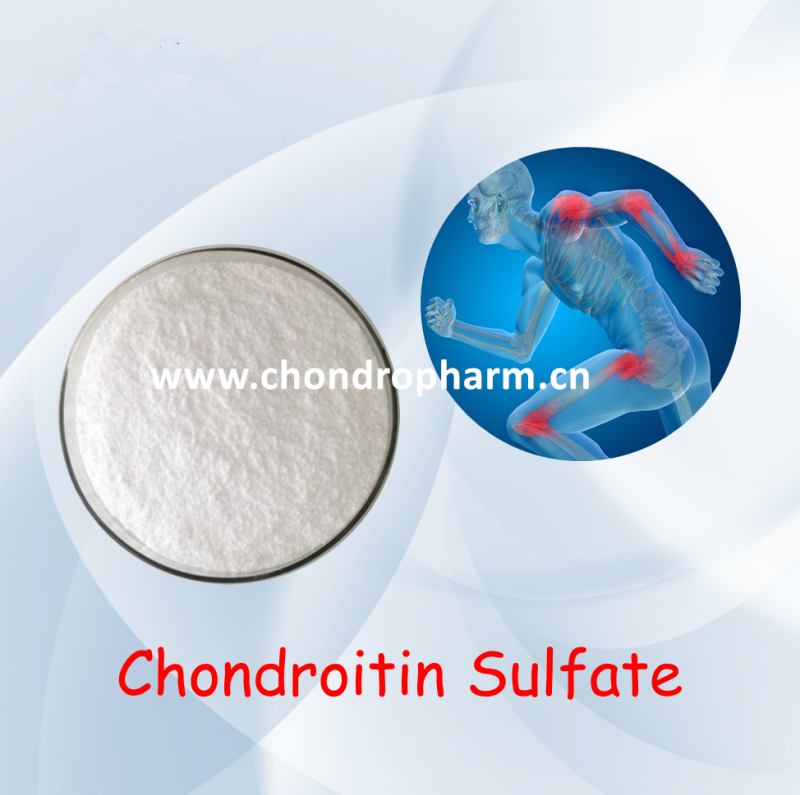 Chicken/Bovine/Porcine Source Chondroitin Sulfate Cas: 9007-28-7