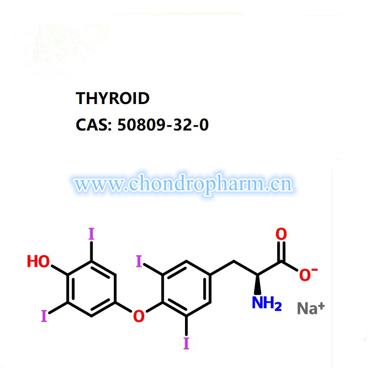 Thyroid Powder with Competitive Pric