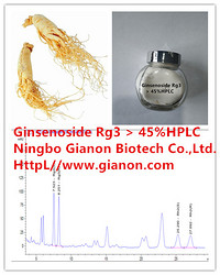 人參皂苷Rg3 5-90%HPLC