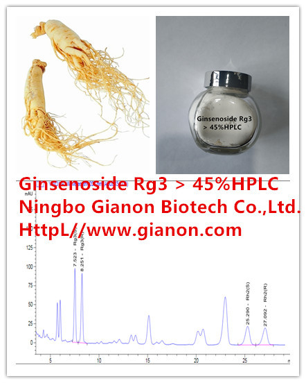 人参皂苷Rg3 5-90%HPLC