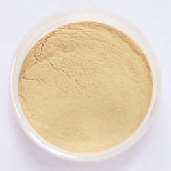 人参皂苷 Rg1    50-80%HPLC Ginsenoside Rg1