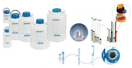WIGGENS GT 2 生物制品液氮冻存罐( 液氮罐)