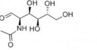 N—乙酰-D-氨基葡萄糖