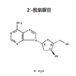 2'-脱氧腺苷