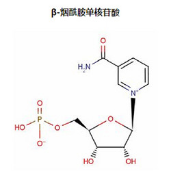 β-烟酰胺单核苷酸