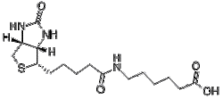 (+)-BIOTIN-EPSILON-AMINOCAPROIC ACID