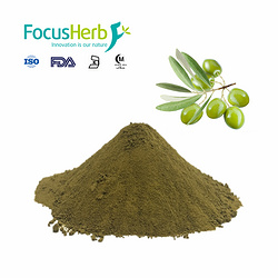 Olive Leaf Extract (Oleuropein)