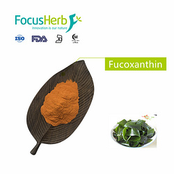 Seaweed Extract Fucoxanthin, Fucoidan
