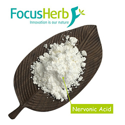 Acer Tuncatum Extract Nervonic acid