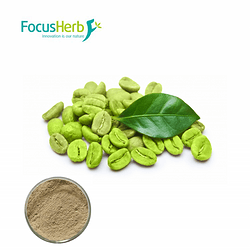 Green coffee bean extract