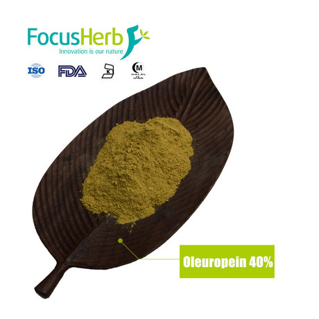 Oleuropein